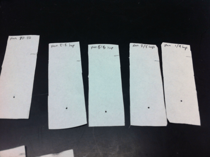 Sharpie pen chromatographs