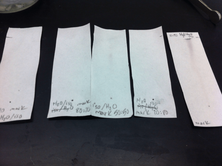 Black ink marker chromatographs