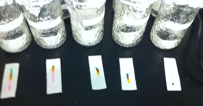 Red, blue, and yellow dye mixture chromatographs